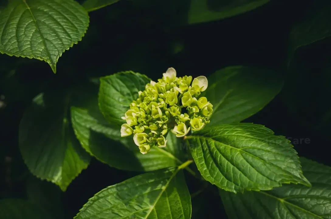 Spring Garden Refresh Ideas for a Healthier Outdoor Space