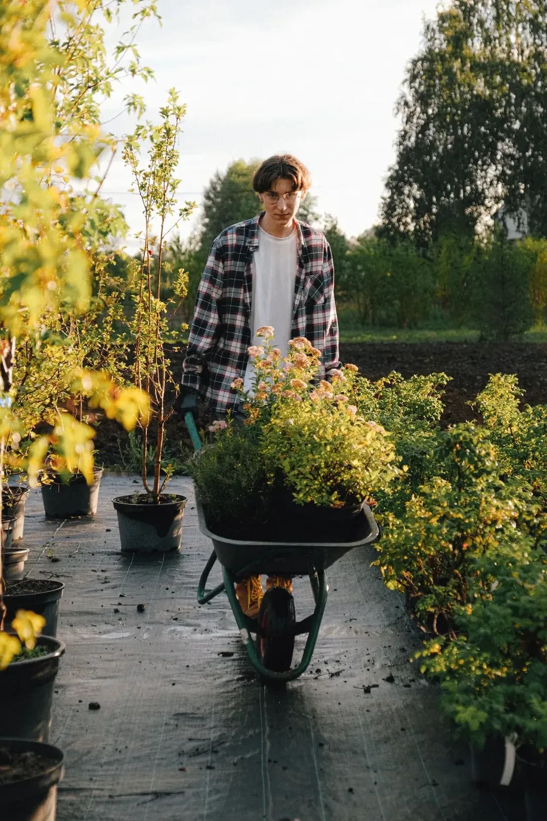 Seasonal garden cleanups